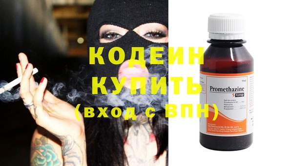 хмурый Липки