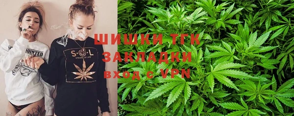 хмурый Липки