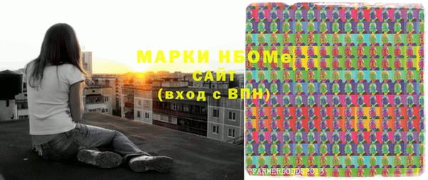 хмурый Липки