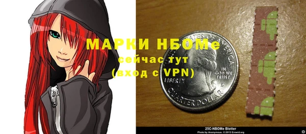 хмурый Липки