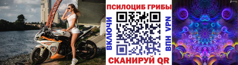 Псилоцибиновые грибы мицелий hydra ССЫЛКА Белая Калитва