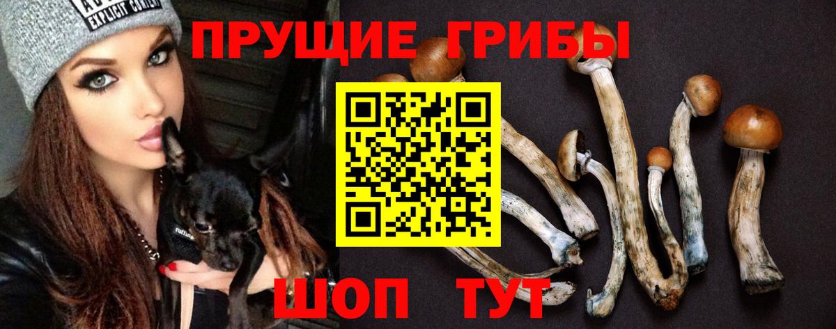 Галлюциногенные грибы MAGIC MUSHROOMS Белая Калитва